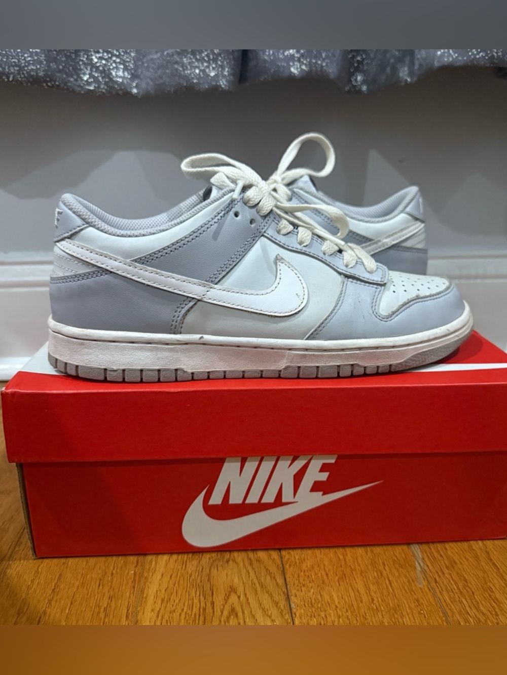 Nike Men’s Low-Top Sneakers in Gray and White